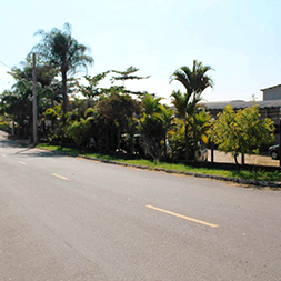 D.D. Valle Bola Branca Taubaté - Dedetização, Limpeza de Fossas e Caminhão Pipa