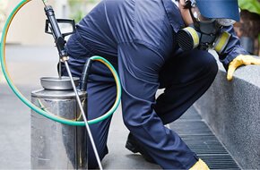 Dedetização – Desratização – Descupinização - Descorpinização