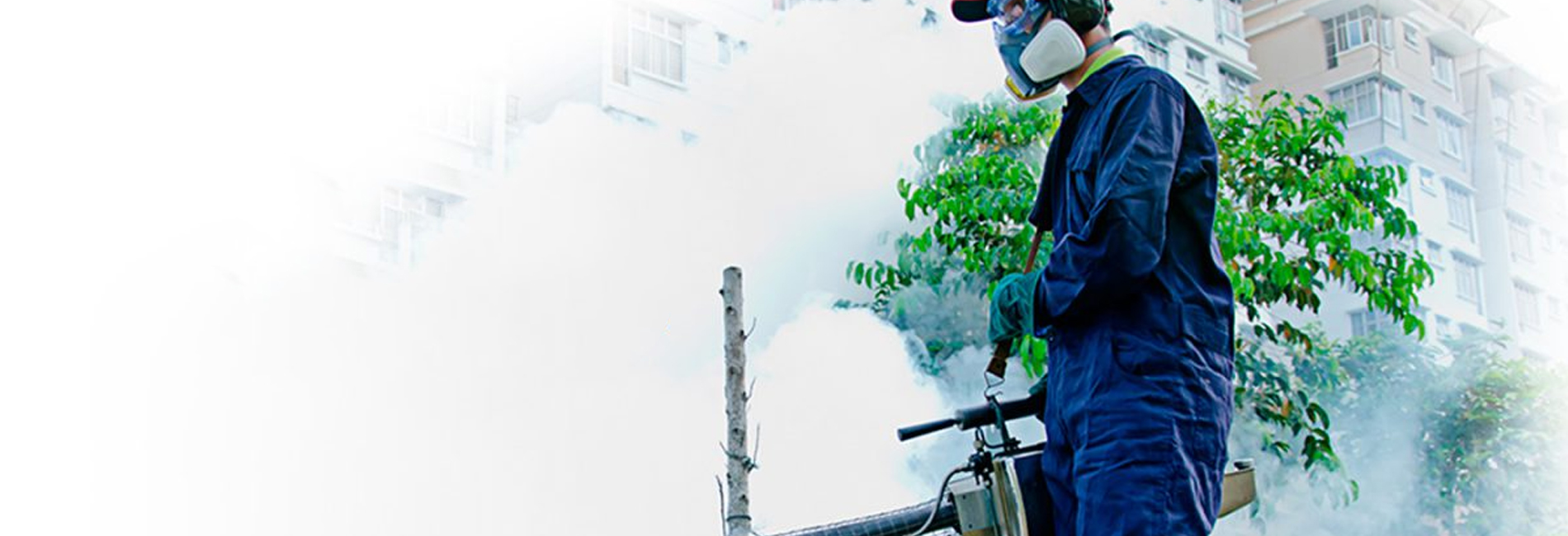 Seu ambiente livre de pragas!